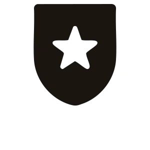 Highlight Icon